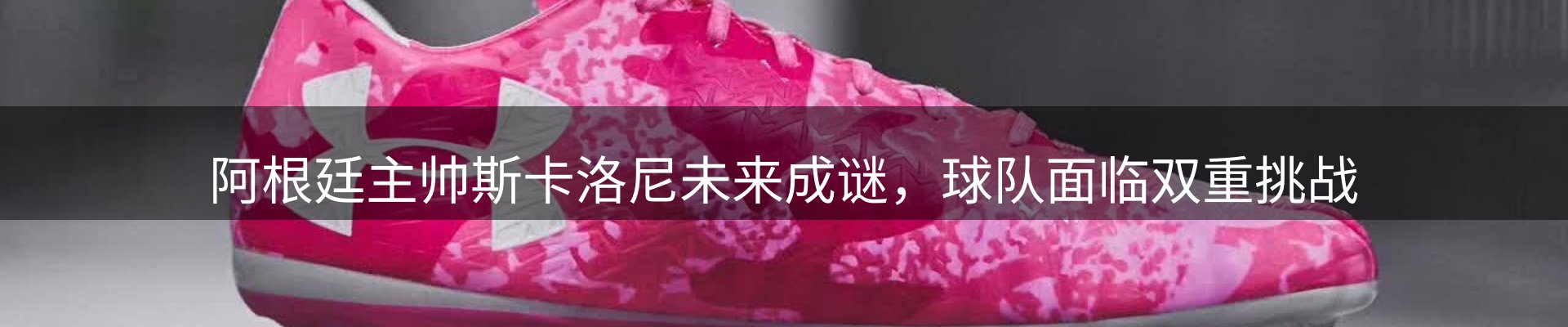 新闻汇编